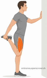 Étirement des quadriceps : debout, talon ramené vers la fesse, genoux côte à côte, buste droit, main contre un mur